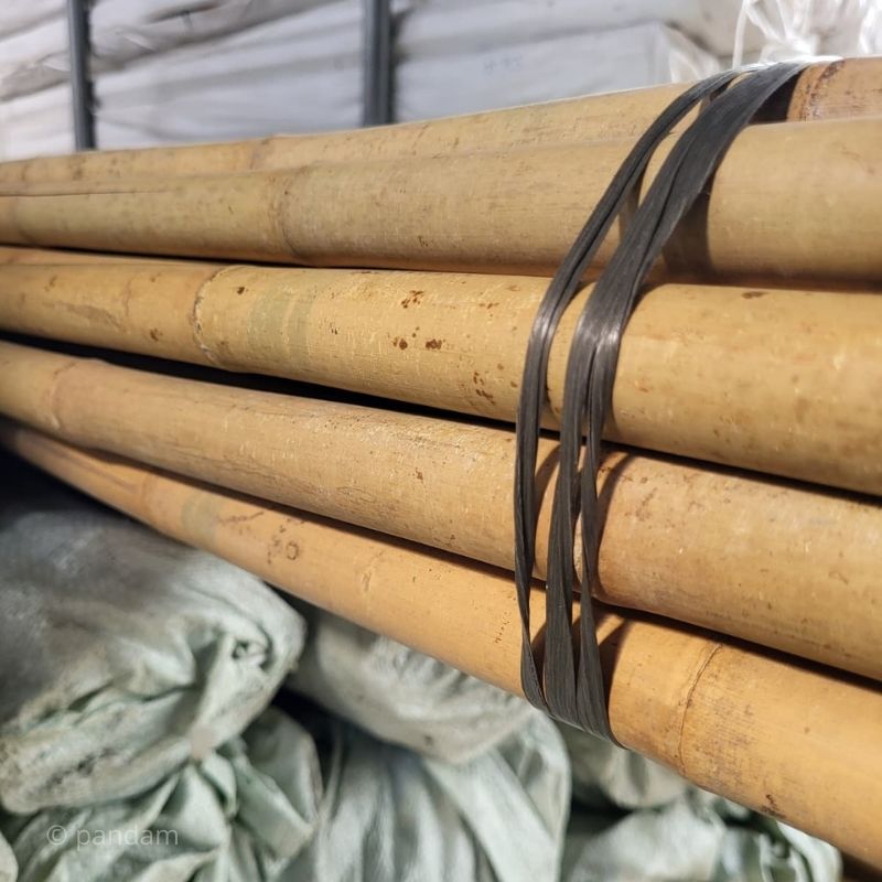 Grand tuteur en bambou