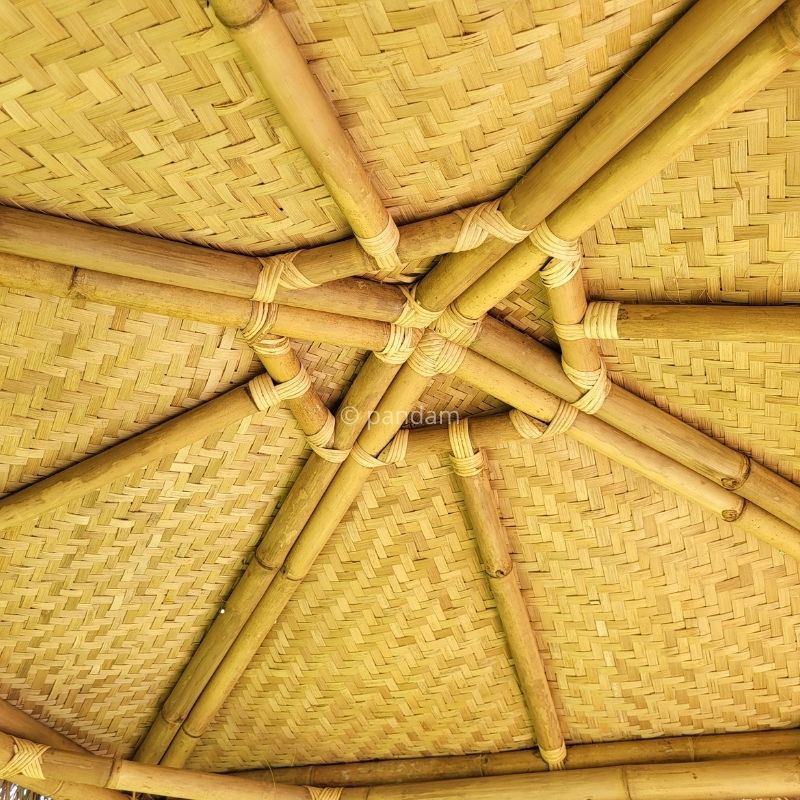 bar bambou exterieur