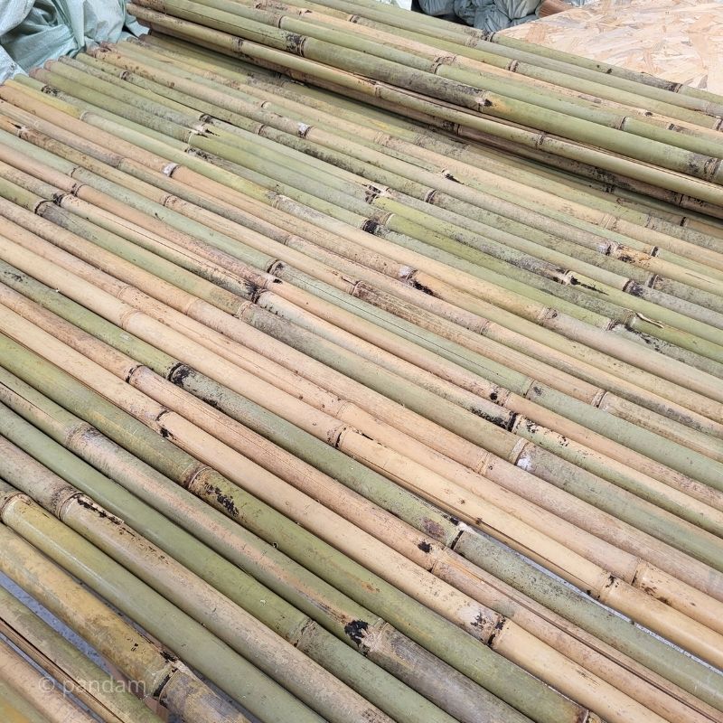 canisse bambou brise vue naturel