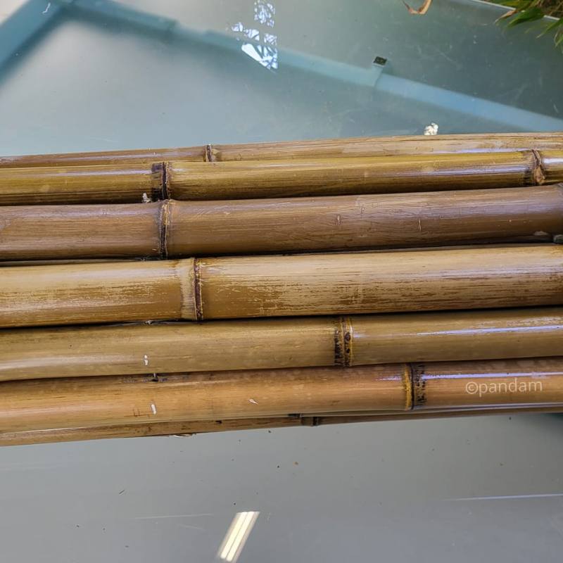 cloture bambou jardin