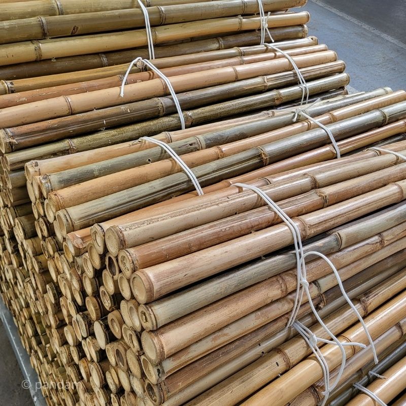 Clôture bambou pour jardin naturelle ∅4-6 cm