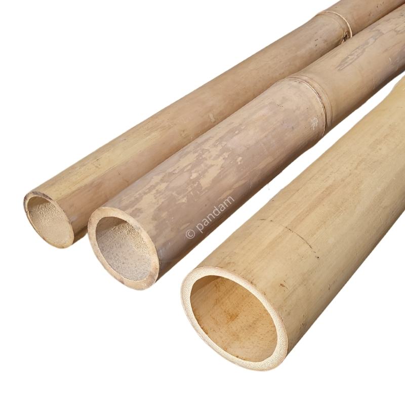 Tige de bambou Claire