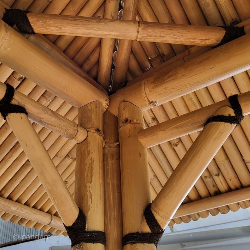 Tige de bambou gros diamètre