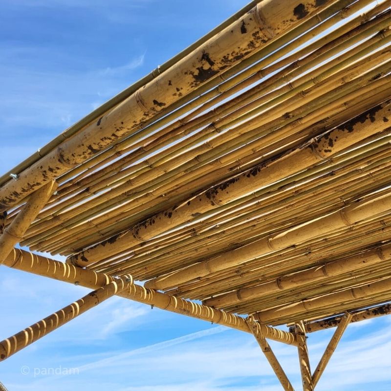 Toit de pergola en bambou en canisse