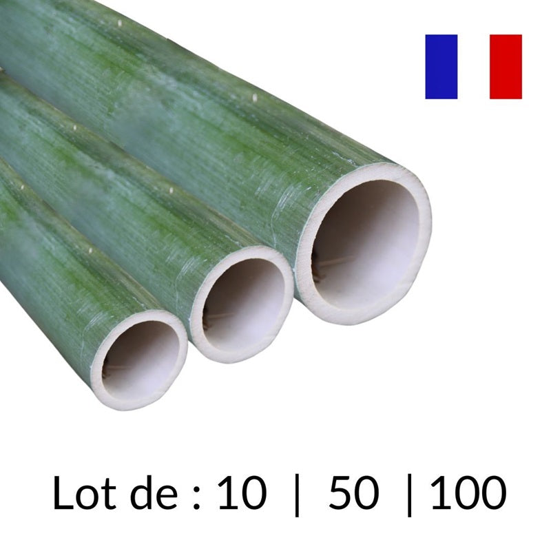Tuteur en bambou vert (longueur 100 cm) | Origine France