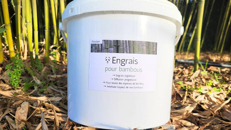 Quand mettre de l'engrais pour bambou ? Quel engrais maison choisir ?