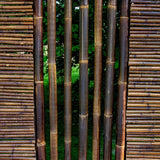 Tige de bambou noire - marron 1 à 4 mètres