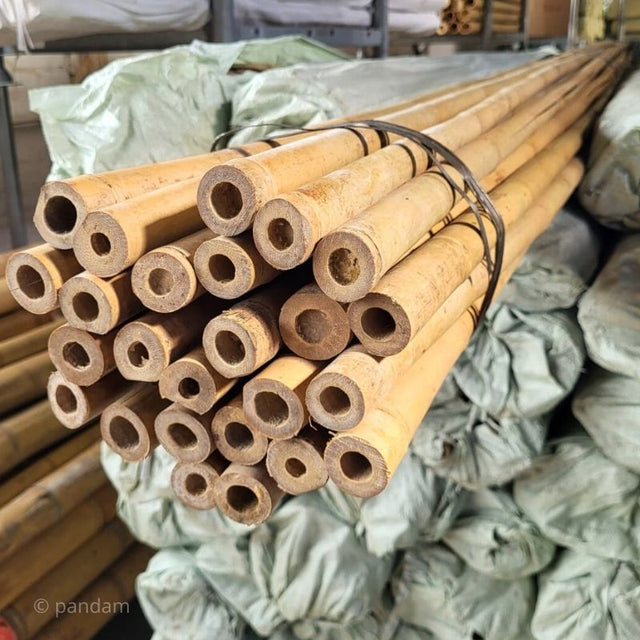 Tuteur bambou 4 mètres