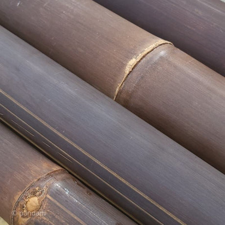 Tige de bambou noire - marron 1 à 4 mètres