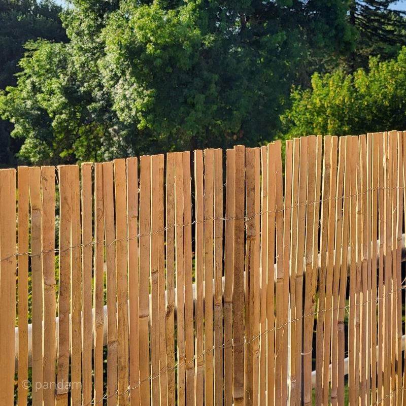 Canisse en bambou fendu | Rouleau de 6 mètres