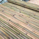 canisse bambou brise vue naturel