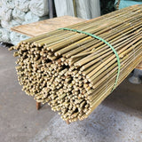 canisse en bambou entier