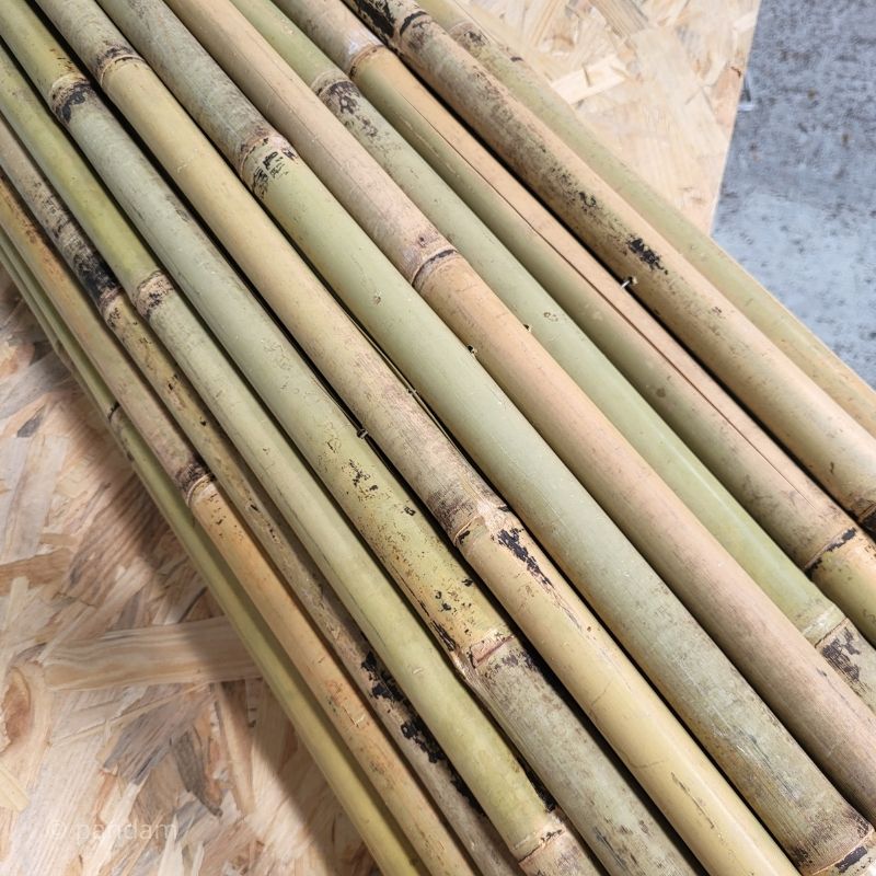 canisse en bambou gros diamètre