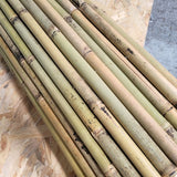 canisse en bambou gros diamètre