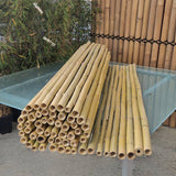 cloture bambou brise vue