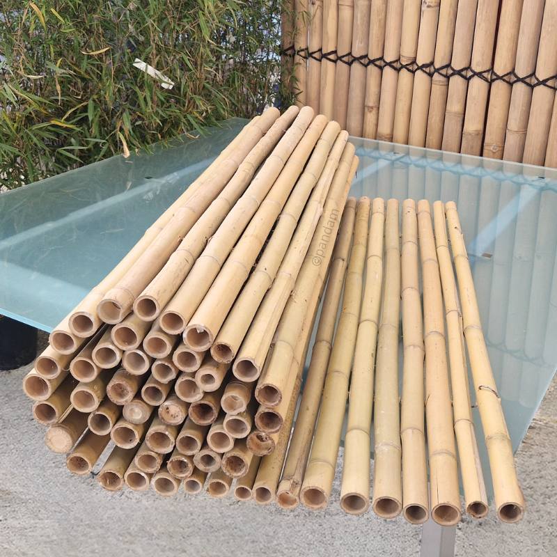 cloture bambou bambou brise vue claire 2m