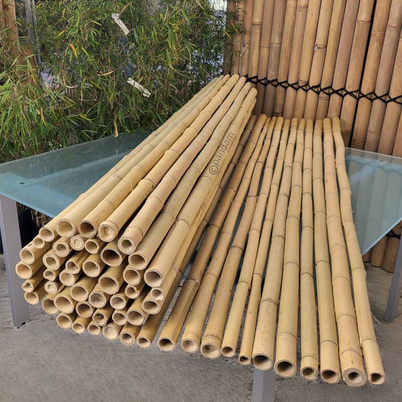 cloture bambou claire 2m