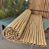 cloture bambou claire 2m