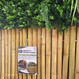 Clôture en bambou naturel brise vue