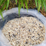 Engrais azoté pour bambou