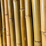 Panneau bambou naturel georgie