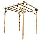 pergola bambou petit format