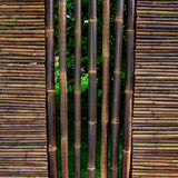 Rouleau de bambou noir