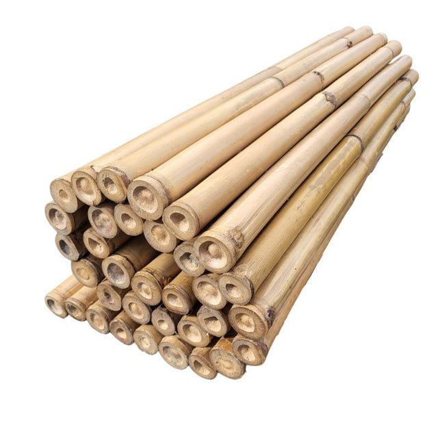 Rouleau de clôture en bambou clair 4-6 m