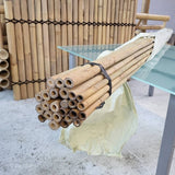 Tuteur en bambou 3 M | Lot de 10 à 1000+ unités