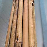 tuteur bambou 300 cm